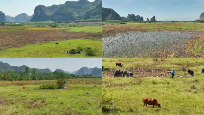 4K航拍上林钱塘湿地公园风光