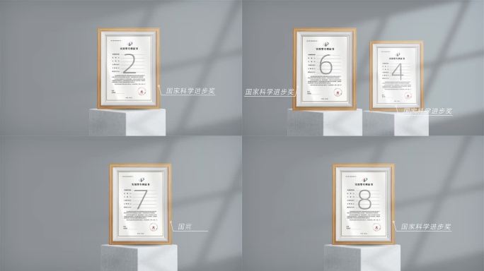 高端简洁干净荣誉专利展示资质证书包装01