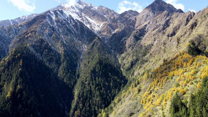 航拍毕棚沟高原雪山彩林峡谷