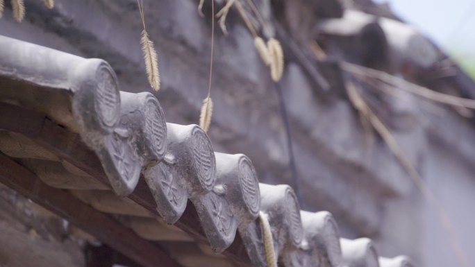 屋檐 北京胡同 中式建筑 屋顶杂草