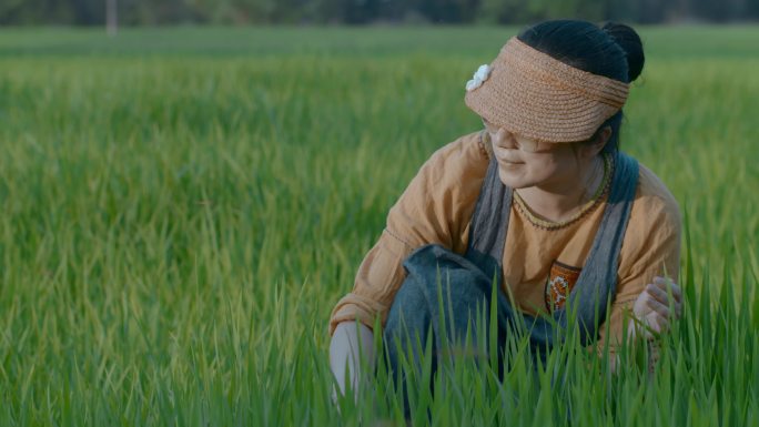 乡村稻田夏季青绿色稻谷里观察绿叶的女子