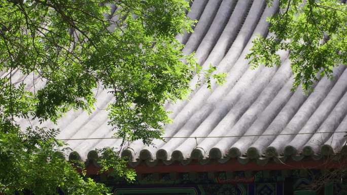 古建筑屋顶 屋脊