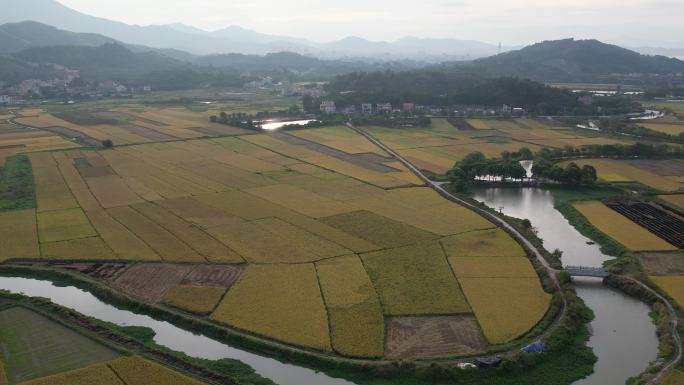 美丽田园