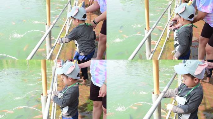 亚洲男孩正在享受喂鱼的乐趣。