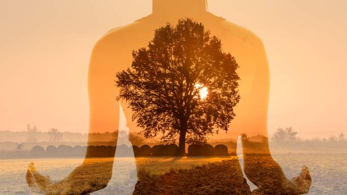 中景：日出时分，一名女子在草地中央的一棵树上冥想