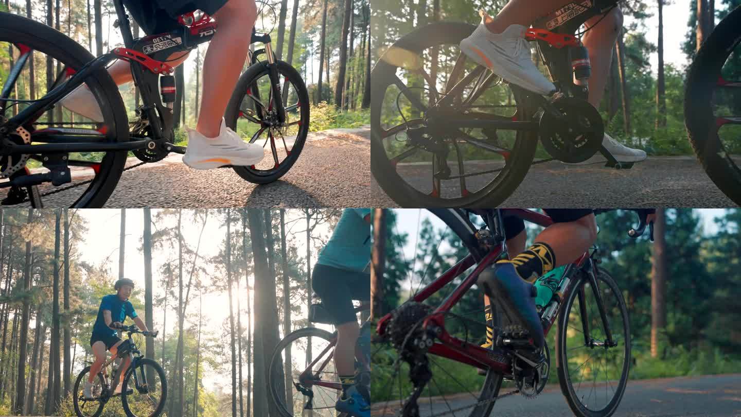 森林自行车单车骑行50帧慢镜头