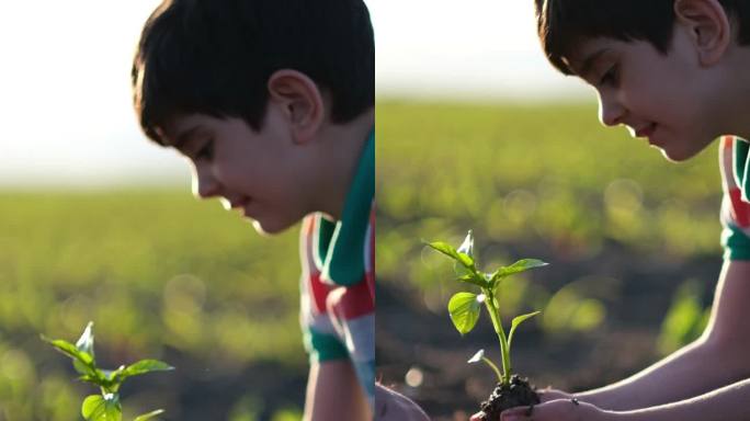 年轻的植物小男孩种下一颗植物生态希望