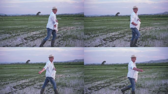 日落前男农民在稻田里播种水稻