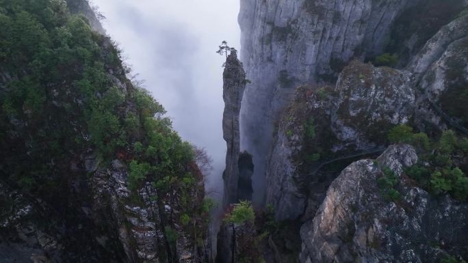 航拍武陵山区绝壁山峰云海4K