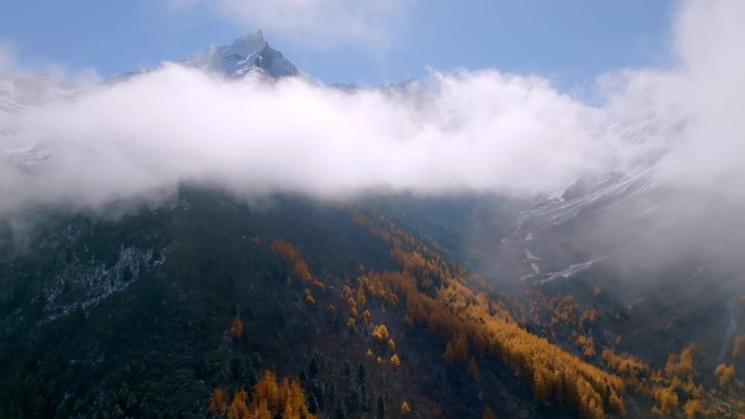 迷雾环绕的雪山和秋色