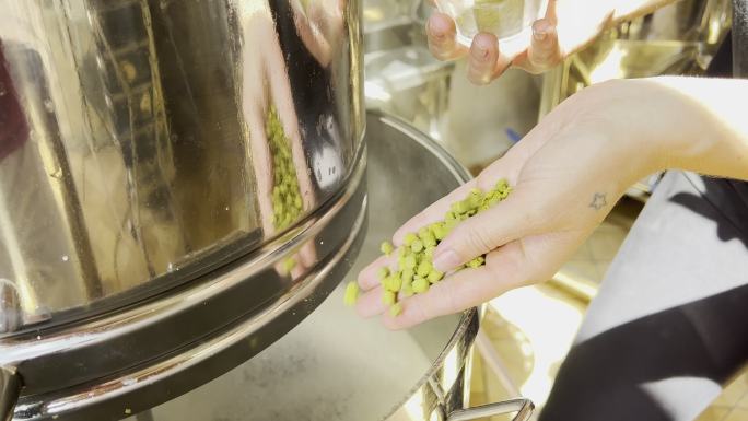 精酿啤酒生产阶段女性投掷啤酒花的细节