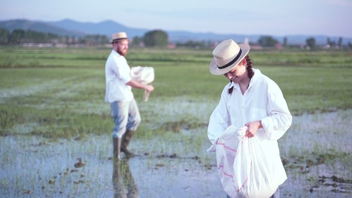 夕阳下，微笑的女农民和哥哥在稻田里播种