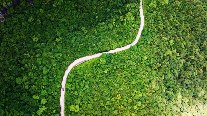 【正版原创实拍】夏天山区汽车绿荫森林俯拍