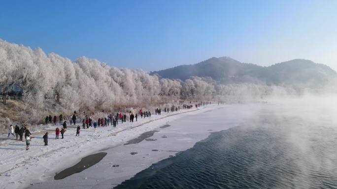 吉林市松花江沿岸的雾凇