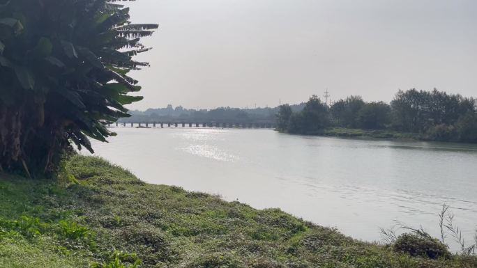 城镇河流流水树林绿植古桥车流