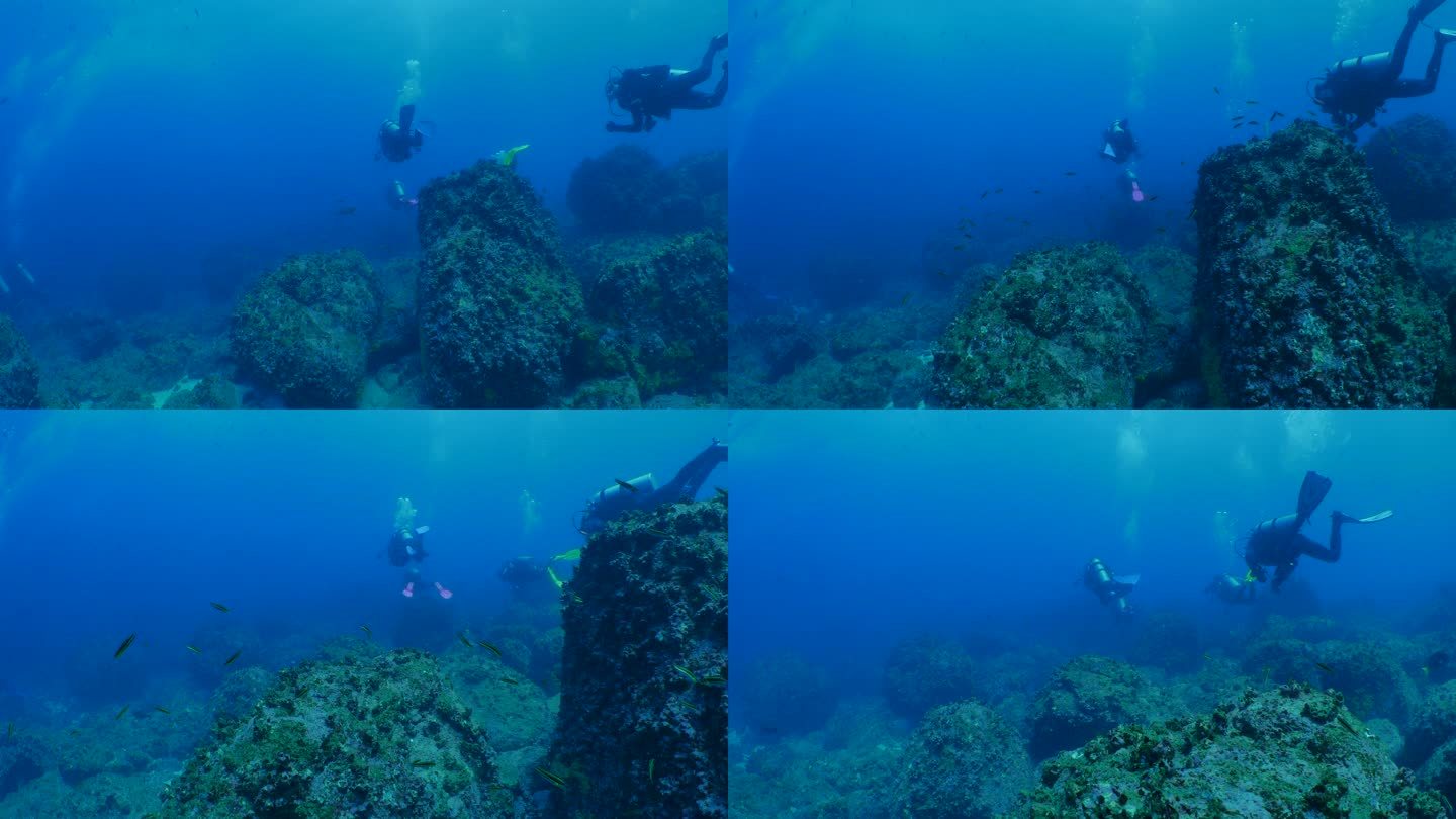 加拉帕戈斯的水肺潜水