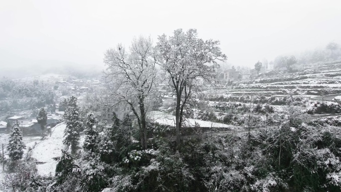4K航拍贵州大山村庄森林雪松雪景小雪