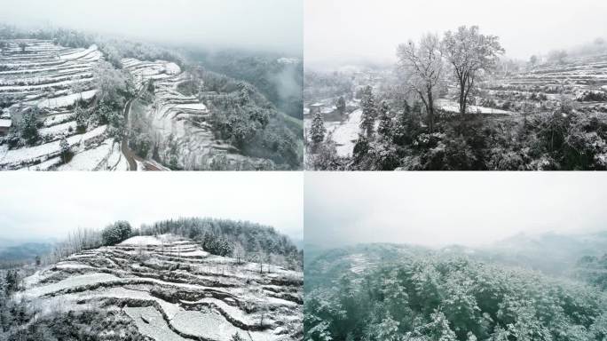 4K航拍贵州大山村庄森林雪松雪景小雪