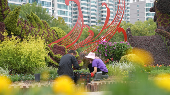 城市绿化 城市植物雕塑 林景观施工