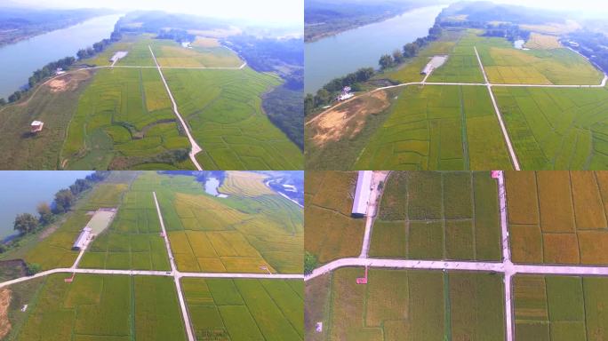 乡村振兴 山水之间水稻田 秋天金色丰收节