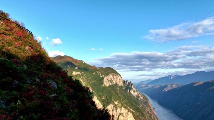 航拍三峡红叶视频