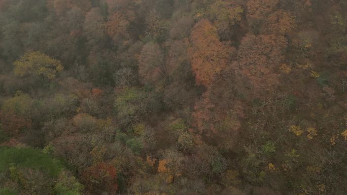 四川光雾山秋季红叶彩林云海航拍香炉山