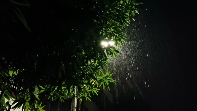 瓢泼大雨唯美雨景空镜雨季雷雨季节暴雨如注