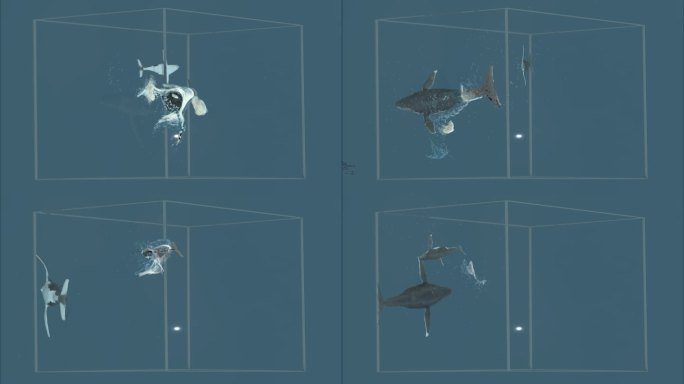 鲸鱼裸眼3D-L形屏视频效果（可定制修改