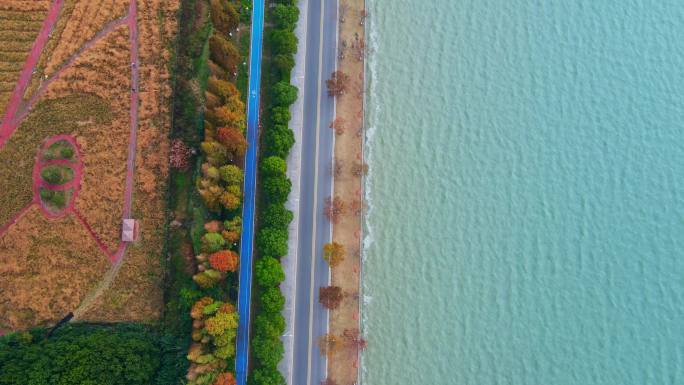 美丽的沿海沿湖公路