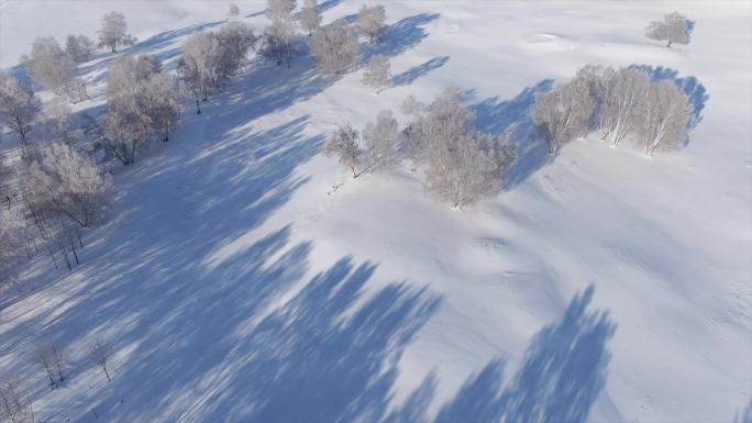 草原白桦树雪景航拍