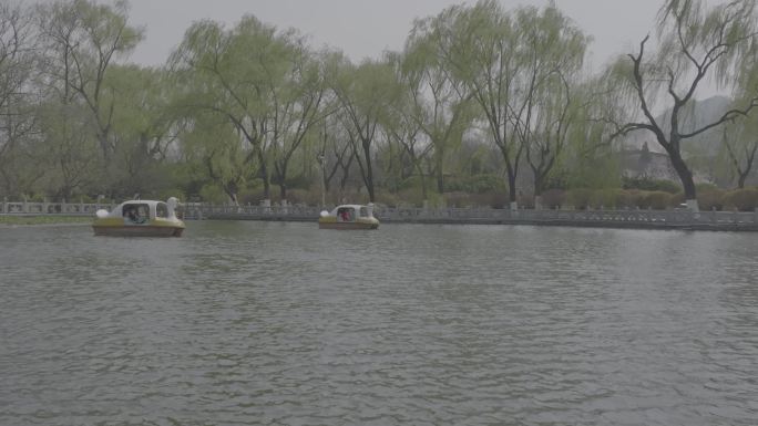 航拍 泉城公园 春日 景观湖 垂柳 游船