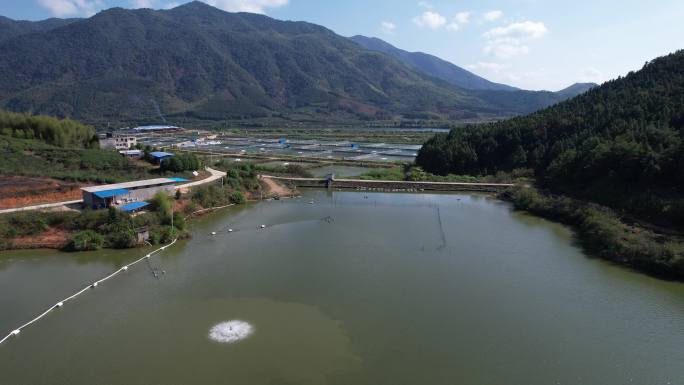 水库旁的渔场养殖基地