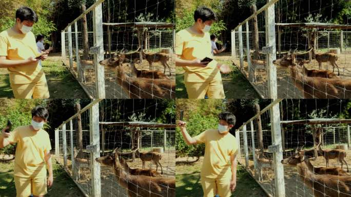 一个亚洲男孩在当地动物园里享受时，在笼子里给鹿拍照，这是一种生活方式。