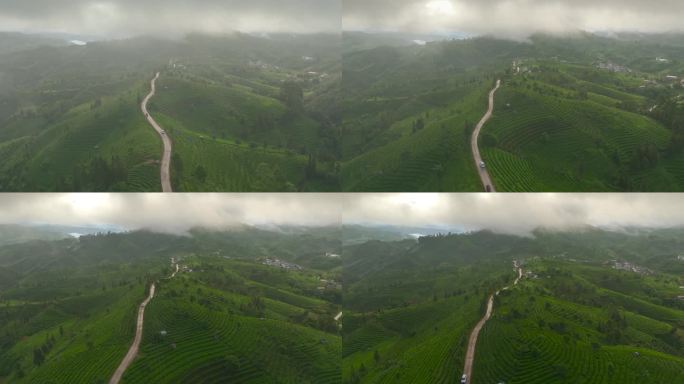 航拍茶山