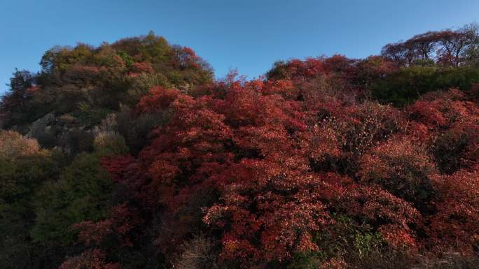 太平峪圭峰山航拍