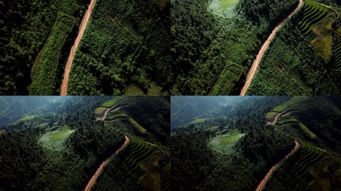 梯田稻田在丘陵或山地上耕作，通常在东亚、南亚和东南亚耕作