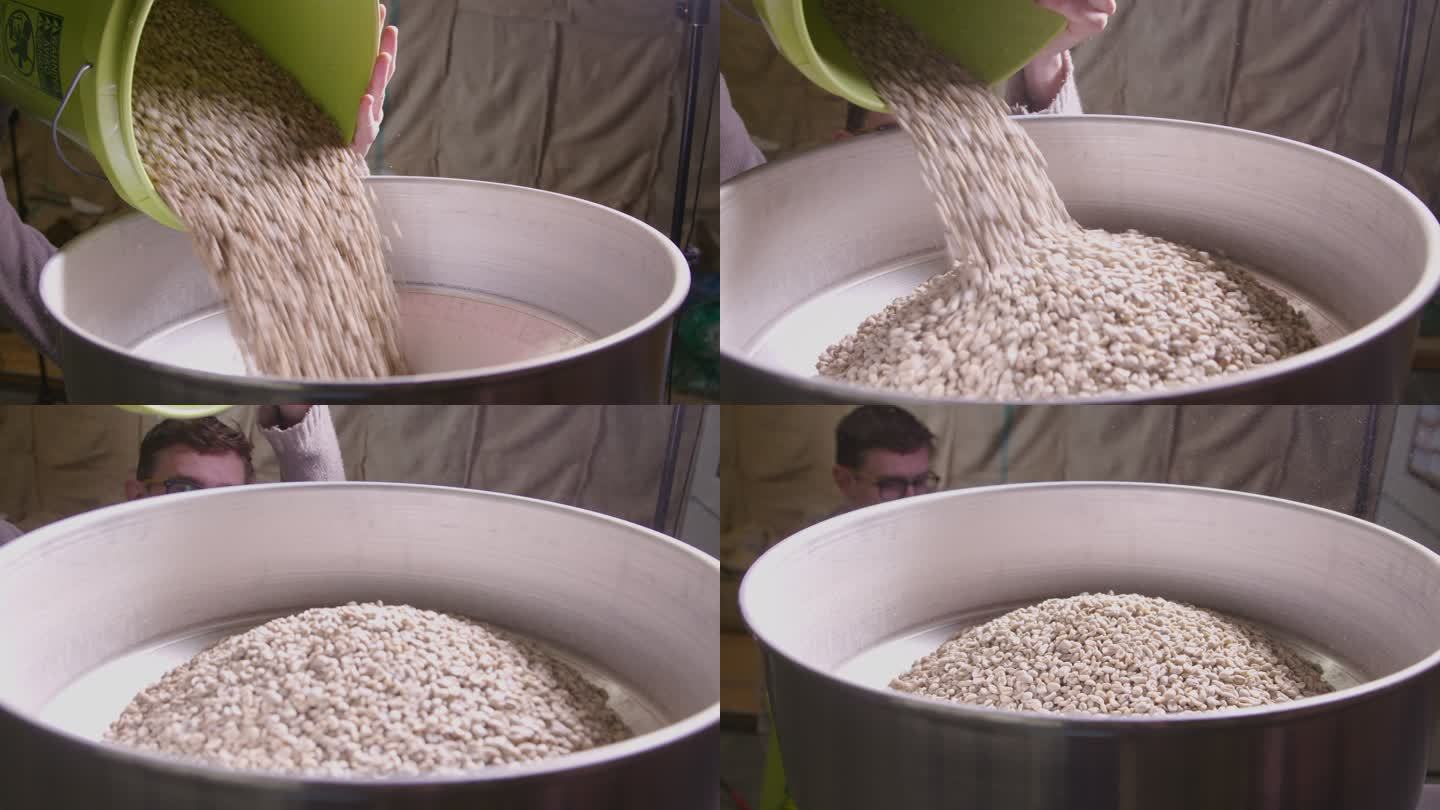 在咖啡烘焙工厂仓库里，一名年轻人将生咖啡豆从可重复使用的塑料桶倒入专业的工业咖啡烘焙机