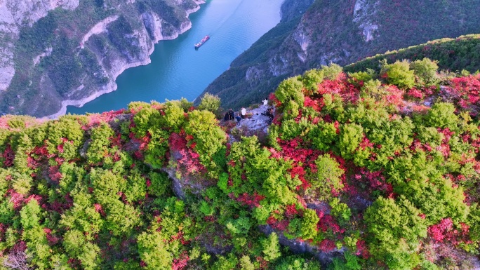 航拍三峡红叶视频