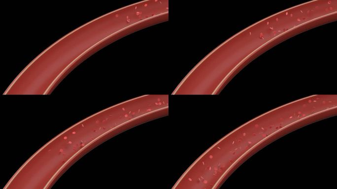 3D血管中血液红细胞流动带通道素材