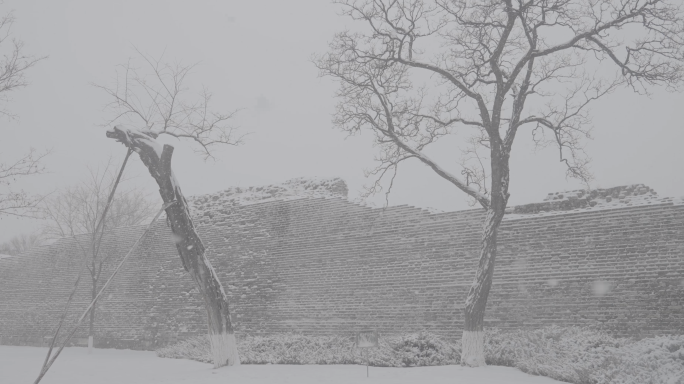 北京古城墙古树飘雪4Klog