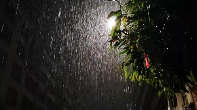 路灯视频忧伤雨天大雨雨点雨点逆光深夜下雨