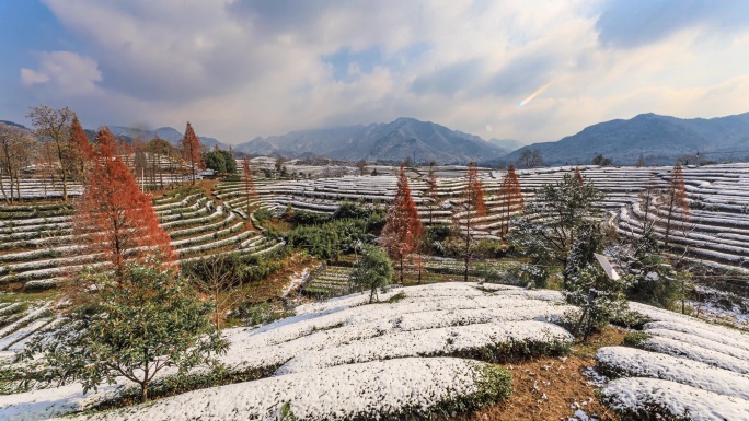 义乌大陈道人峰茶园雪景6K延时摄影