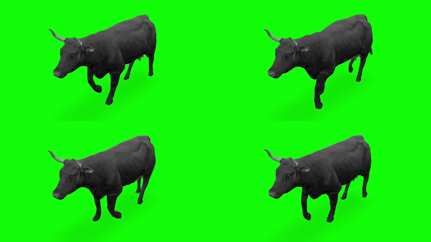 绿色屏幕上的奶牛。动物、野生动物、游戏、返校、3d动画、短视频、电影、卡通、有机、色度键、人物动画、
