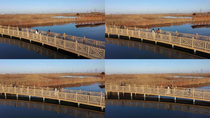 行走在深秋湿地公园廊桥摄影团队