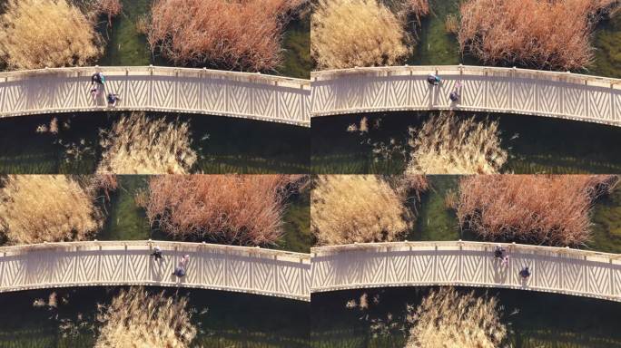 俯拍深秋湿地公园景观桥游客