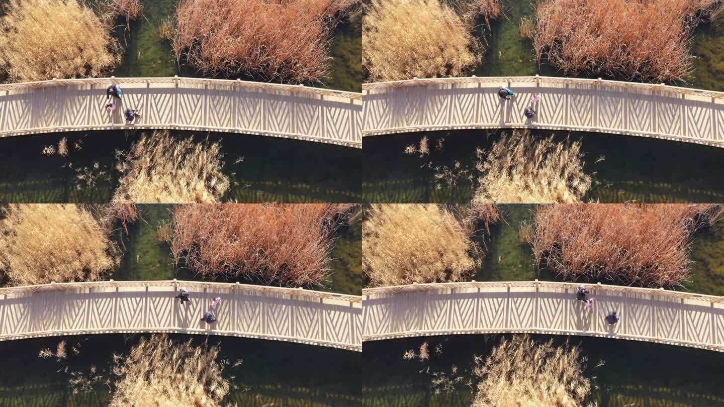 俯拍深秋湿地公园景观桥游客