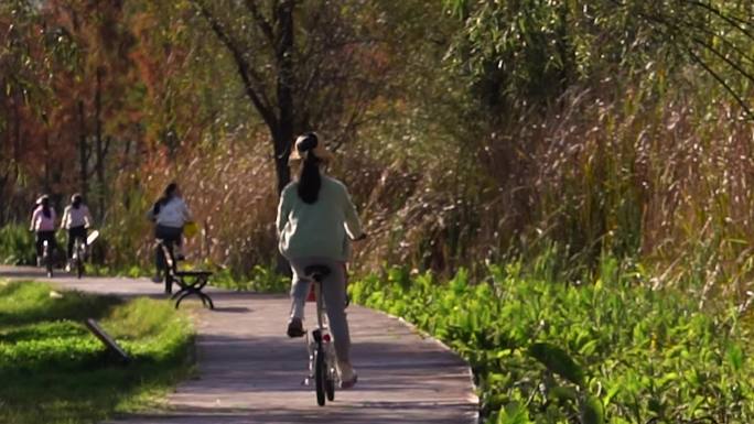 公园里骑自行车的一群女孩