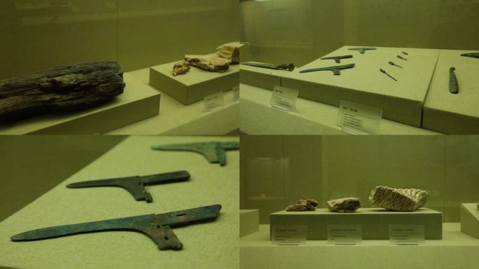 新石器时代青铜器化石历史文物展览馆