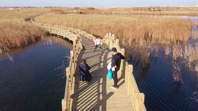 深秋湿地公园景观桥游客