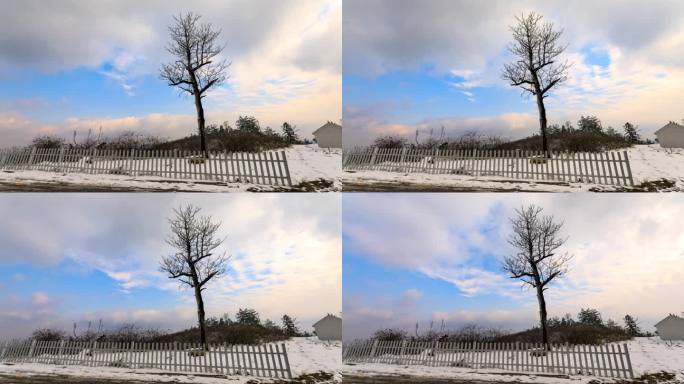 冬天一棵树雪景延时摄影